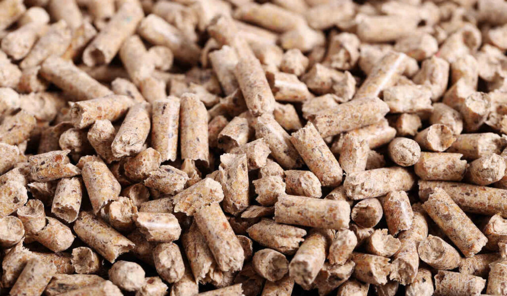Pellet 6 mm a 8 mm różnice i podobieństwa