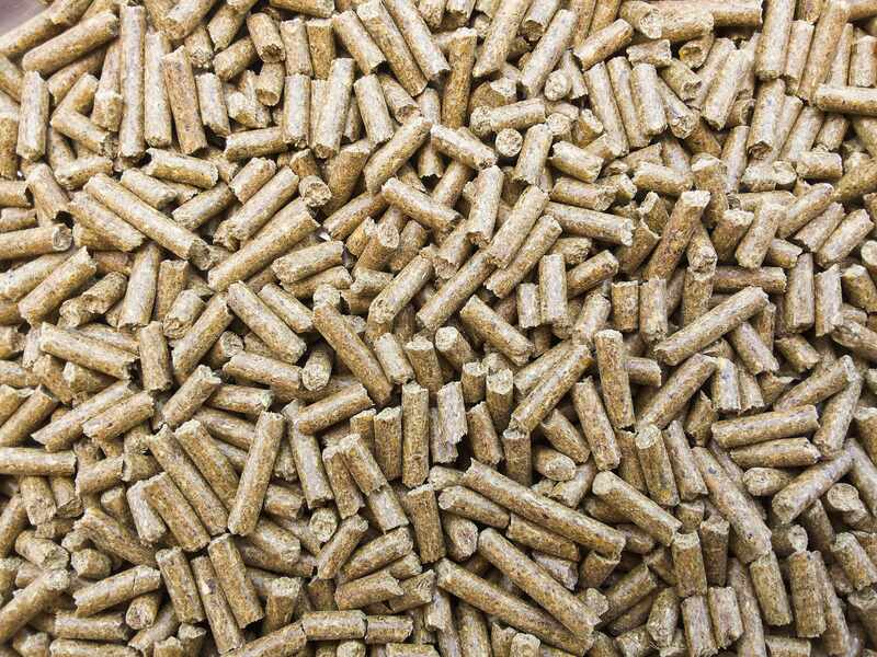 Jakie czynniki wpływają na cenę pelletu