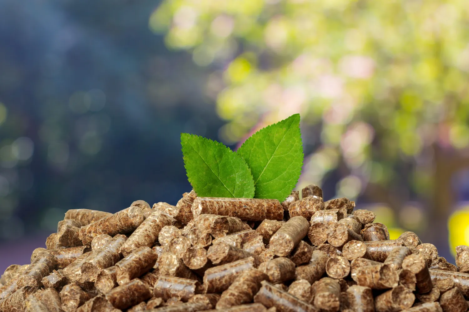 Pellet certyfikowany. Dlaczego to ważne?