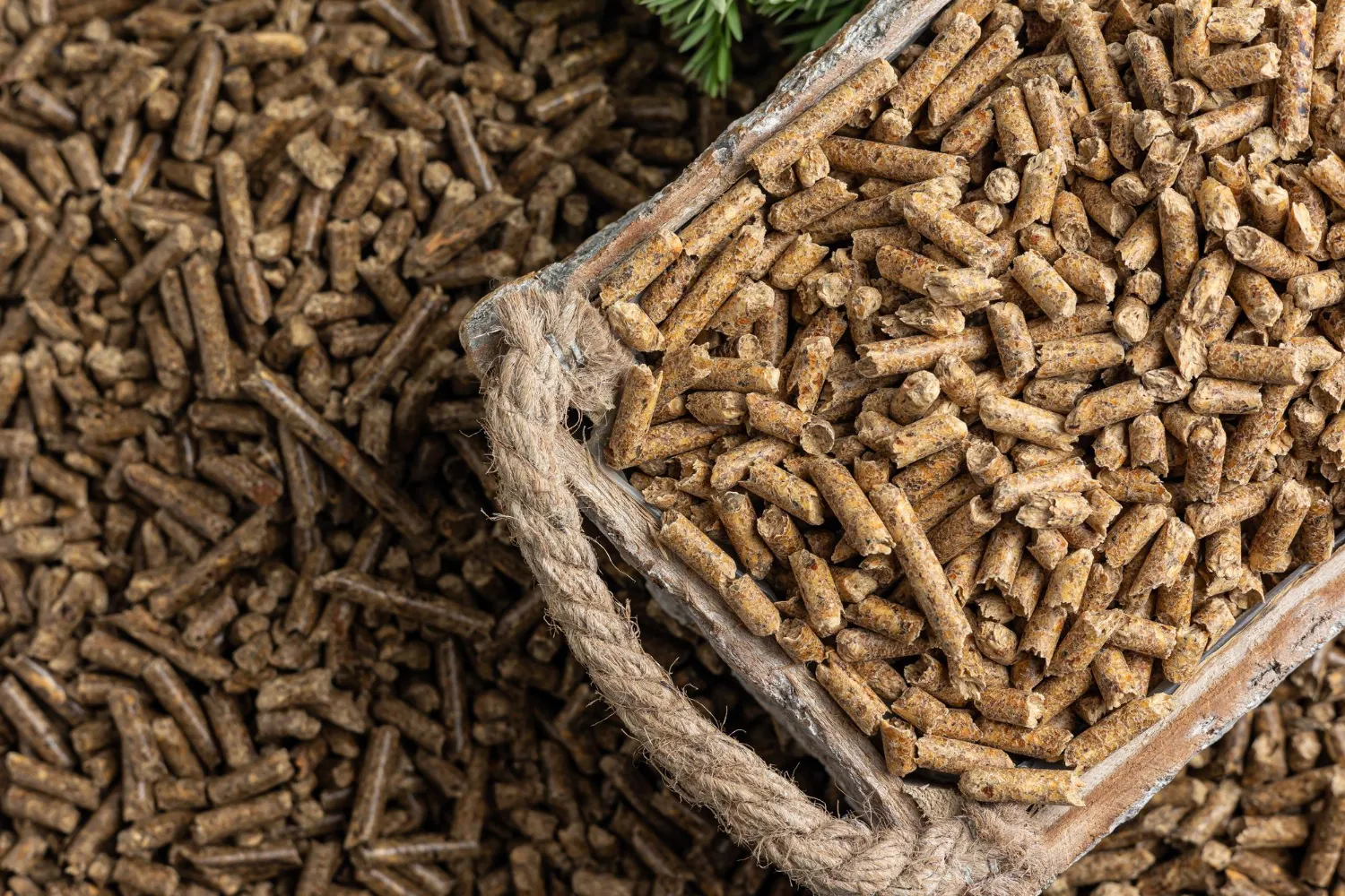 Jak przechowywać pellet i używać bez ryzyka?